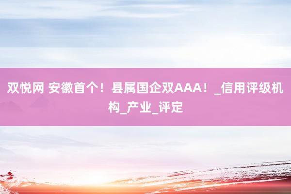 双悦网 安徽首个！县属国企双AAA！_信用评级机构_产业_评定