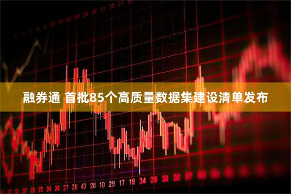 融券通 首批85个高质量数据集建设清单发布