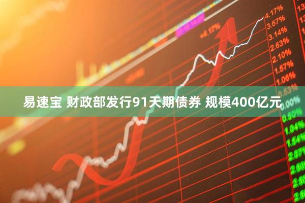 易速宝 财政部发行91天期债券 规模400亿元